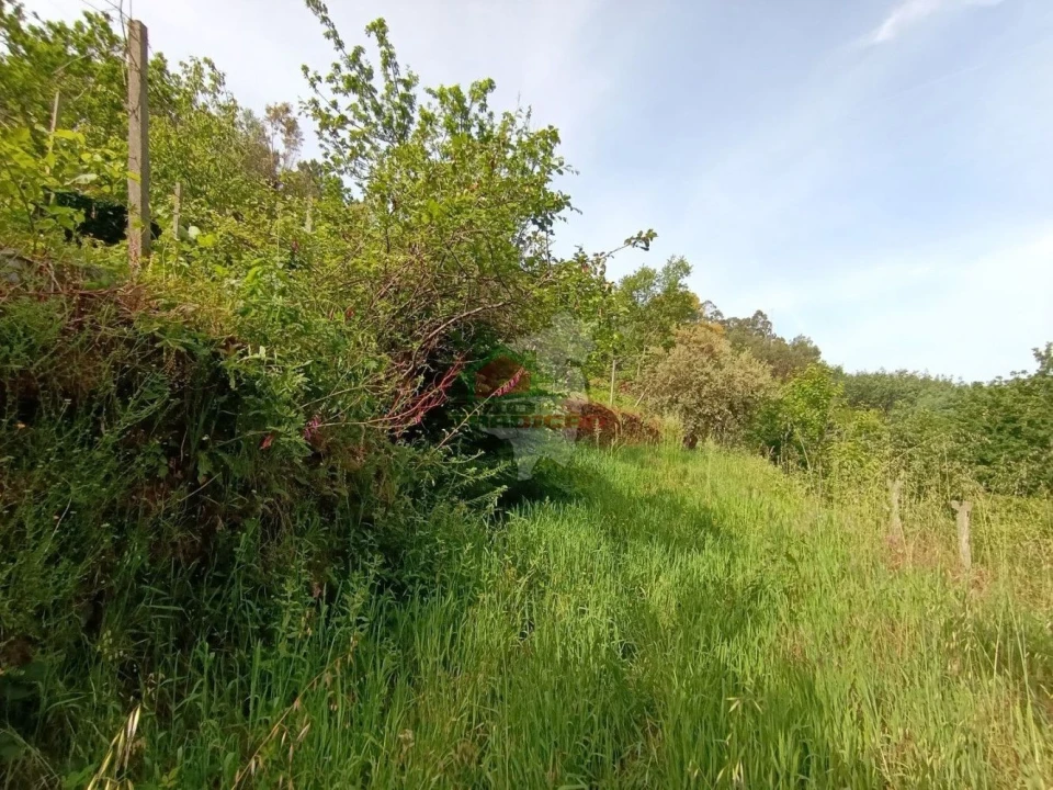 Terreno para Venda em Pedrogão Pequeno Foto 34