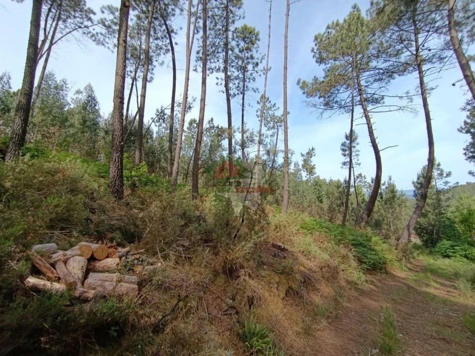 Terreno para Venda em Pedrogão Pequeno Foto 52