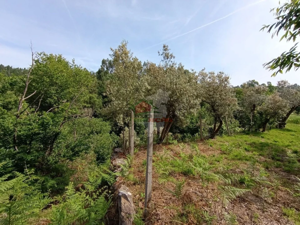 Terreno para Venda em Pedrogão Pequeno Foto 49