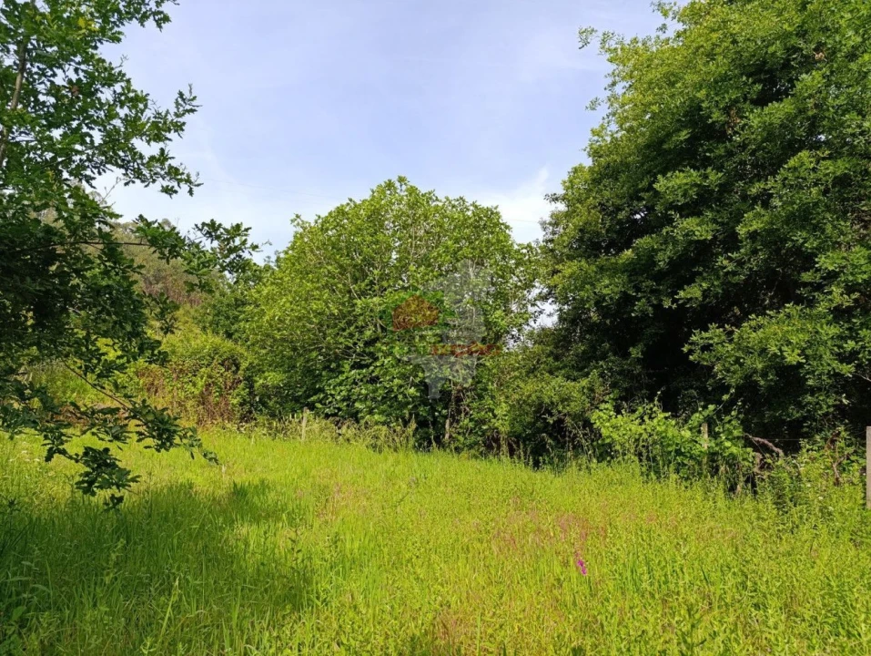 Terreno para Venda em Pedrogão Pequeno Foto 38