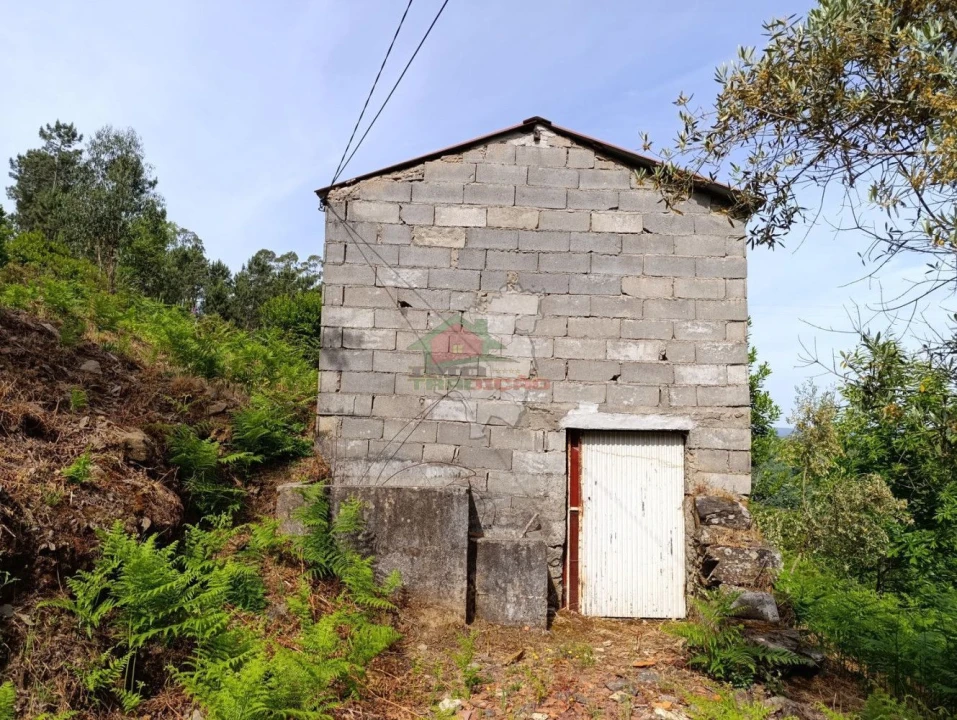 Terreno para Venda em Pedrogão Pequeno Foto 14