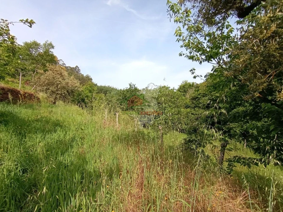 Terreno para Venda em Pedrogão Pequeno Foto 37