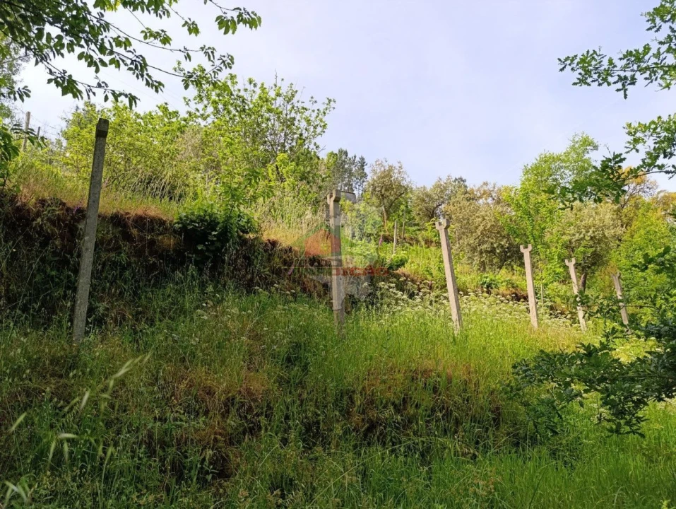 Terreno para Venda em Pedrogão Pequeno Foto 39