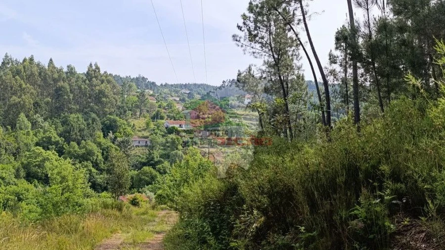 Terreno para Venda em Pedrogão Pequeno