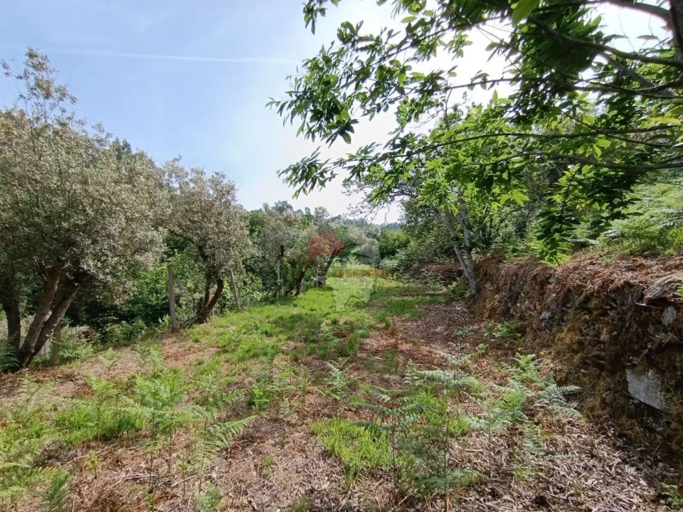 Terreno para Venda em Pedrogão Pequeno Foto 48