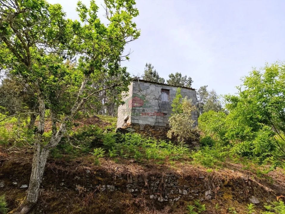 Terreno para Venda em Pedrogão Pequeno Foto 20