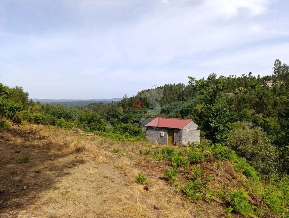 Terreno para Venda em Pedrogão Pequeno Foto 8