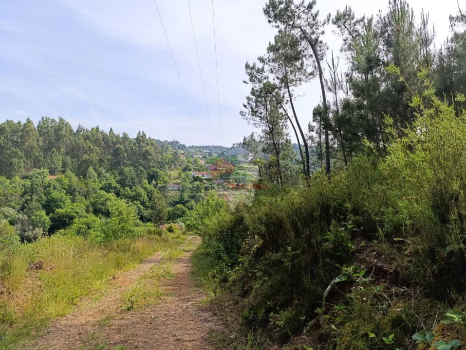 Terreno para Venda em Pedrogão Pequeno Foto 1