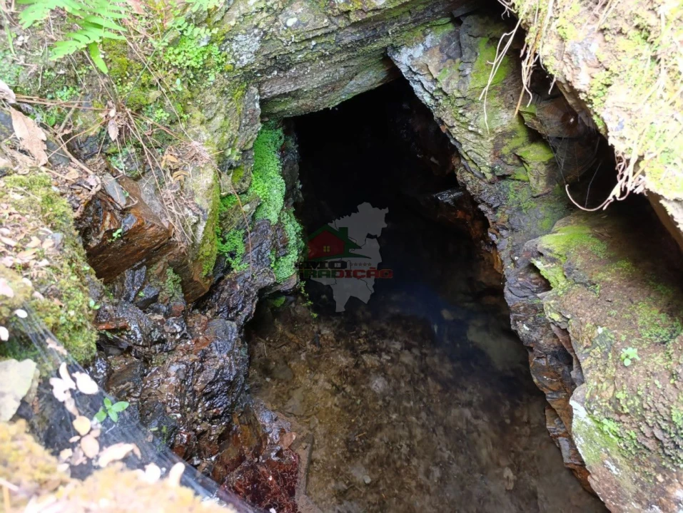 Terreno para Venda em Pedrogão Pequeno Foto 29
