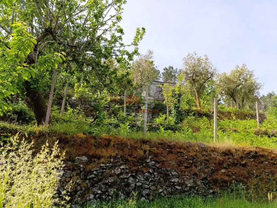 Terreno para Venda em Pedrogão Pequeno Foto 31