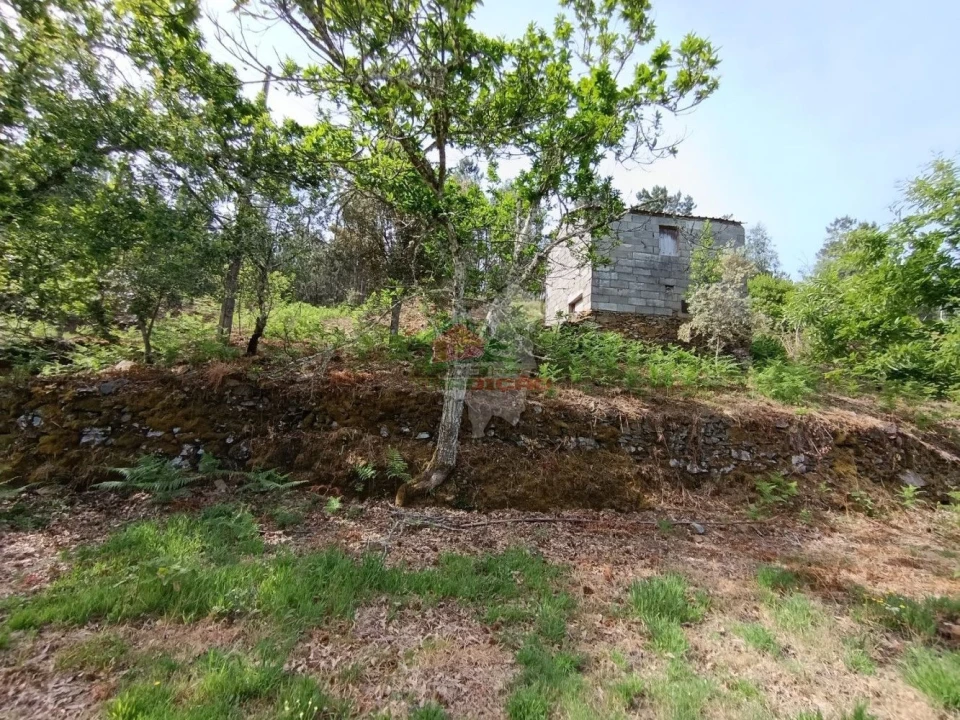Terreno para Venda em Pedrogão Pequeno Foto 23