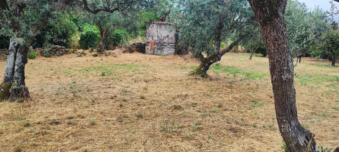 Quinta T10 para Venda em Pedrogão Pequeno Foto 82