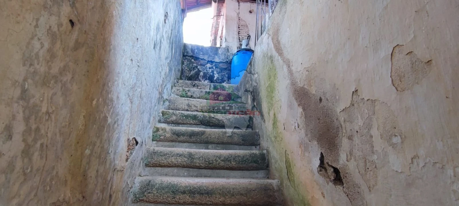 Quinta T10 para Venda em Pedrogão Pequeno Foto 8