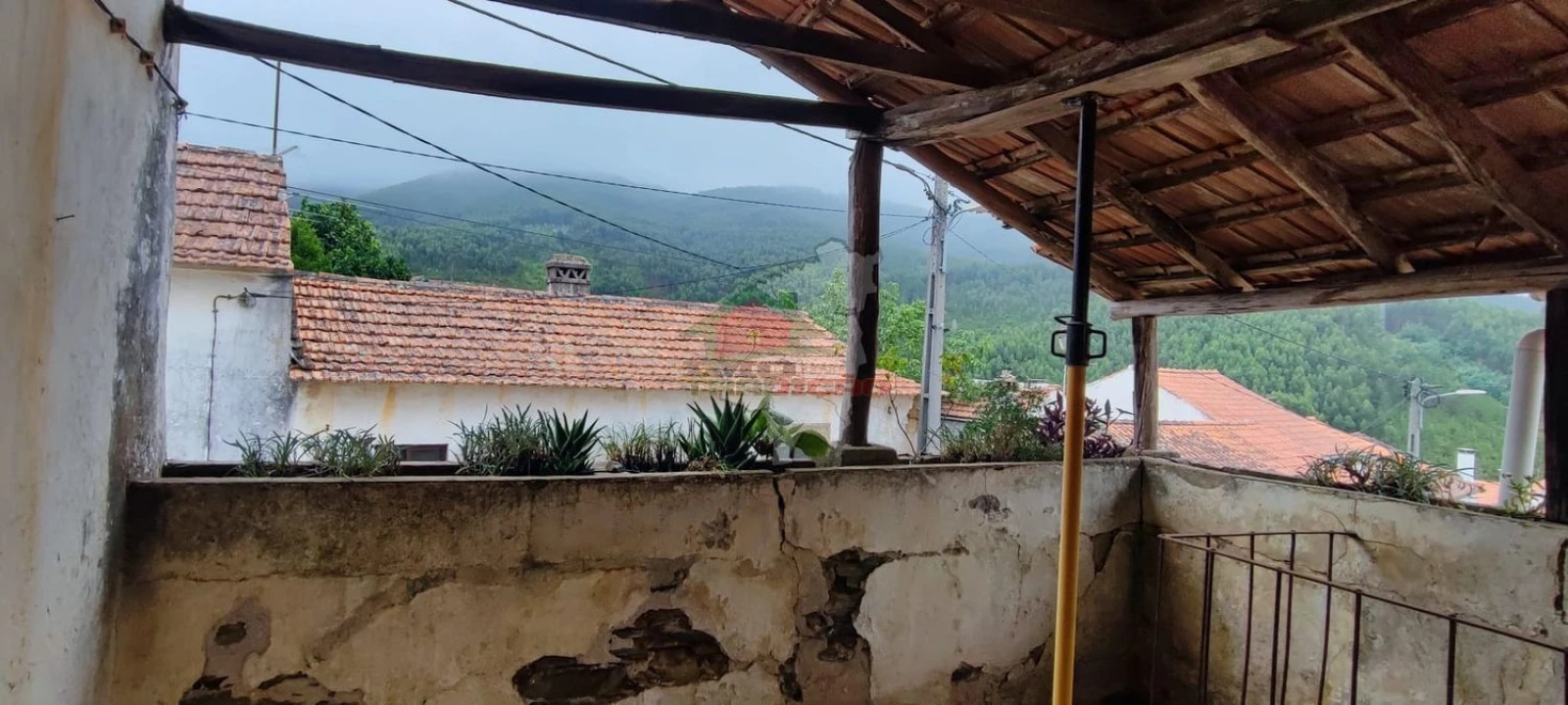 Quinta T10 para Venda em Pedrogão Pequeno Foto 9