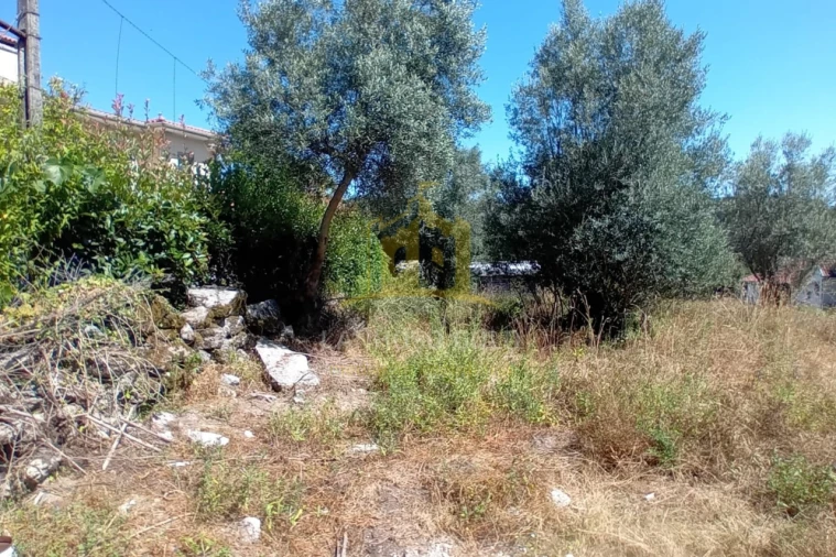 Terreno para Venda em Fonte Arcada e Oliveira Foto 9
