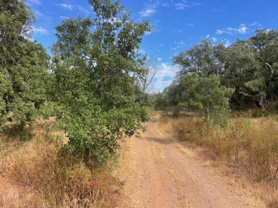 Quinta T3 para Venda em Abela Foto 6