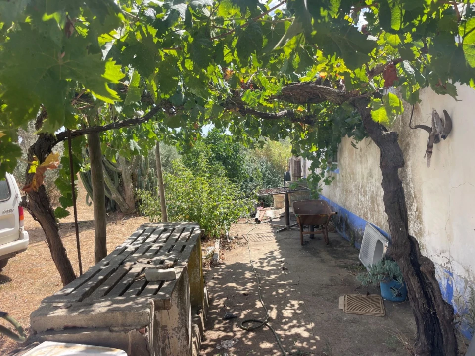 Quinta T3 para Venda em Abela Foto 37