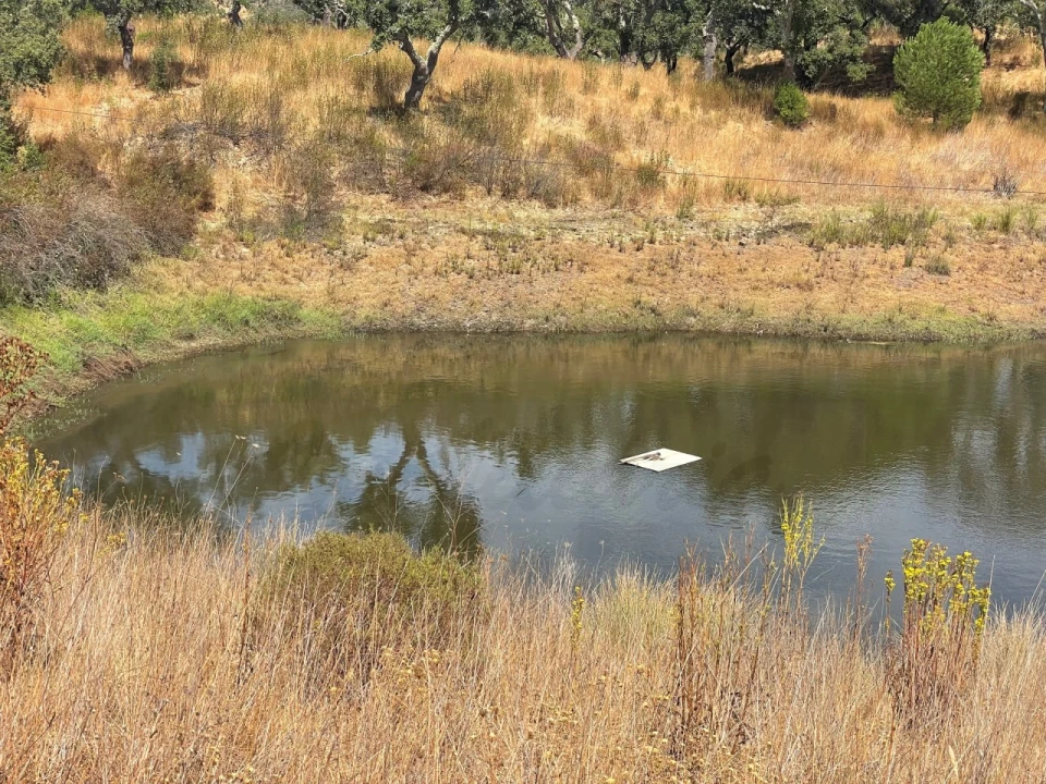 Quinta T3 para Venda em Abela Foto 38