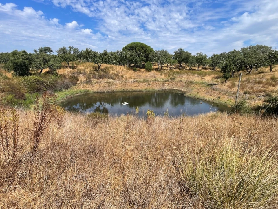 Quinta T3 para Venda em Abela Foto 40