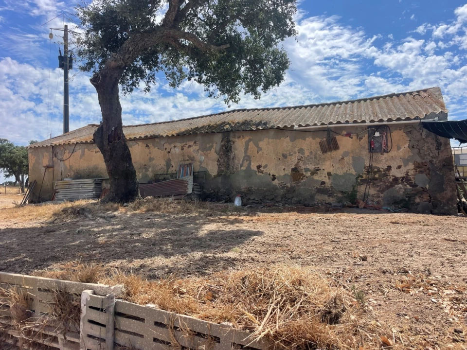 Quinta T3 para Venda em Abela Foto 50