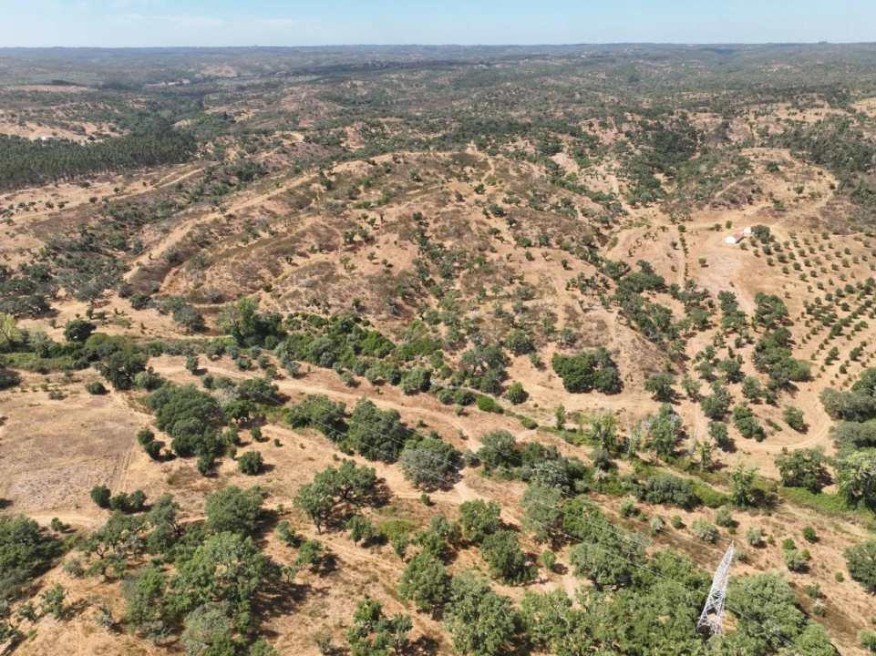 Quinta T3 para Venda em Abela Foto 64