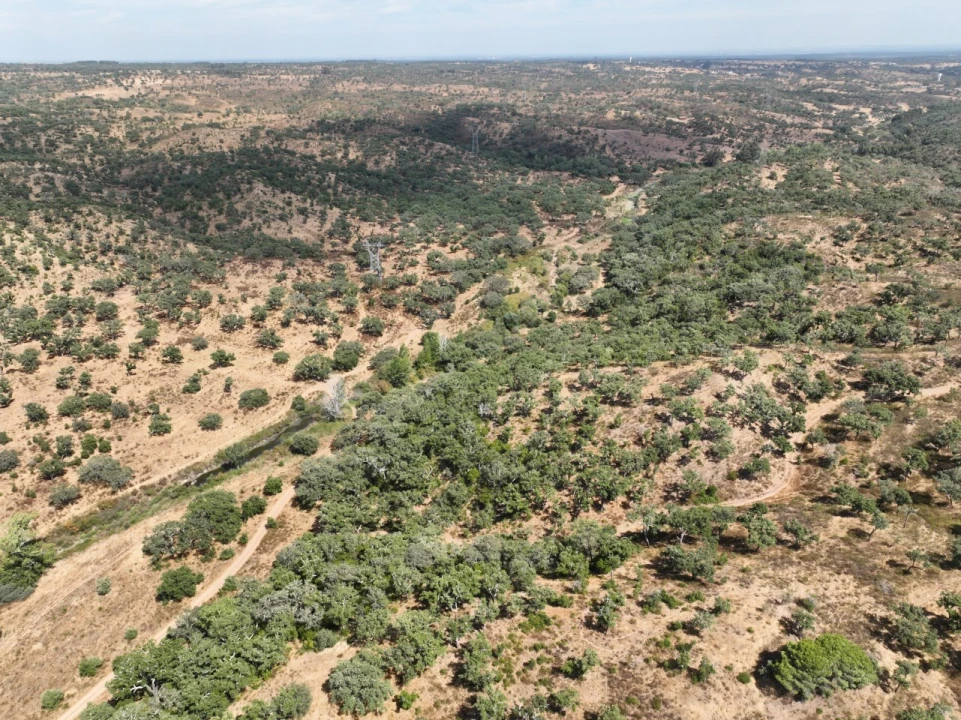 Quinta T3 para Venda em Abela Foto 66