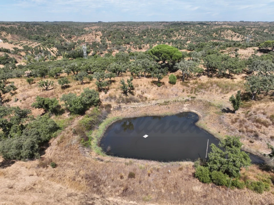 Quinta T3 para Venda em Abela Foto 73