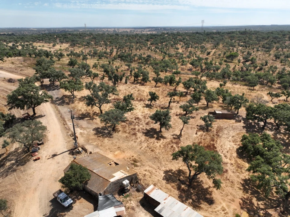 Quinta T3 para Venda em Abela Foto 78