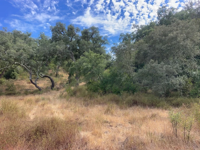 Quinta T3 para Venda em Abela Foto 10