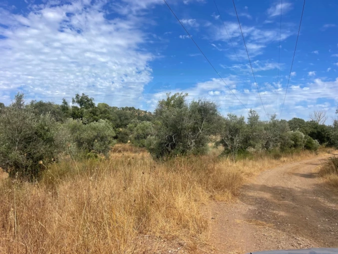 Quinta T3 para Venda em Abela Foto 15