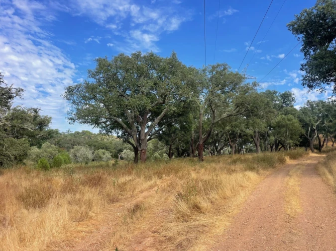 Quinta T3 para Venda em Abela Foto 16