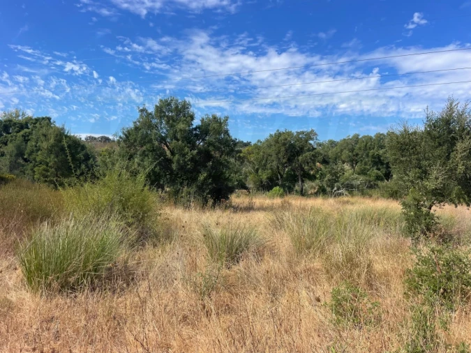 Quinta T3 para Venda em Abela Foto 20