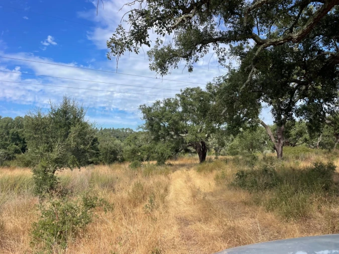 Quinta T3 para Venda em Abela Foto 23