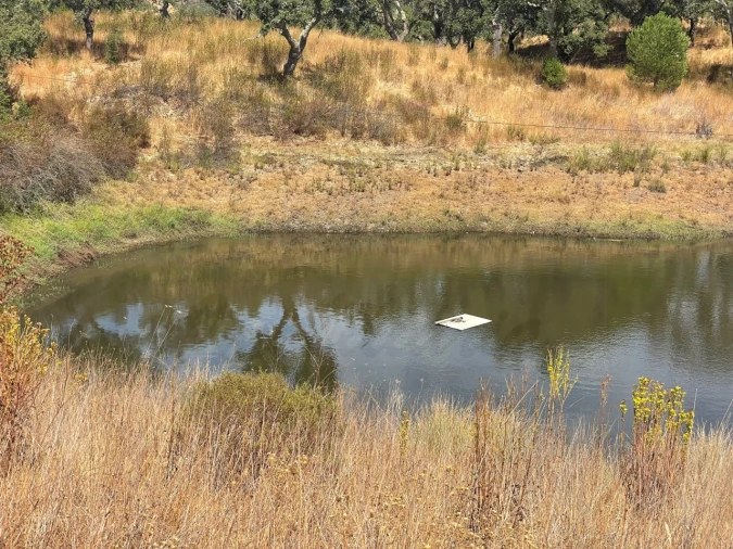 Quinta T3 para Venda em Abela Foto 38
