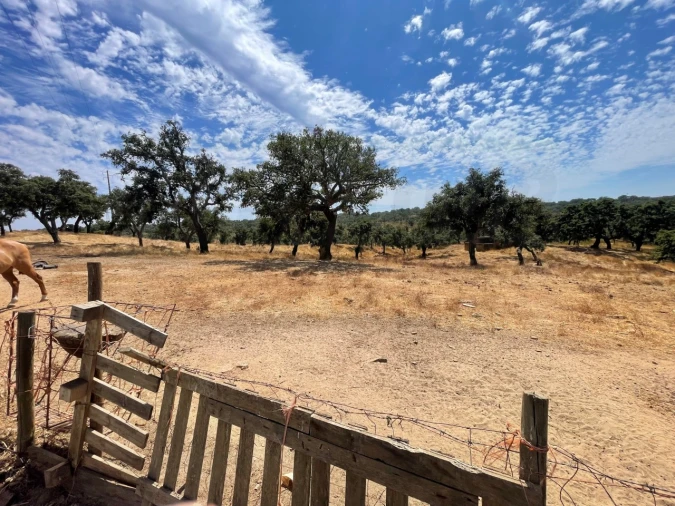 Quinta T3 para Venda em Abela Foto 44