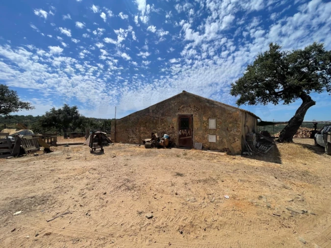 Quinta T3 para Venda em Abela Foto 49