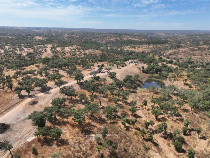 Quinta T3 para Venda em Abela Foto 54