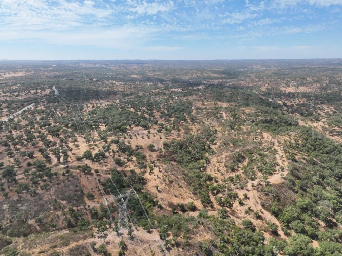 Quinta T3 para Venda em Abela Foto 56