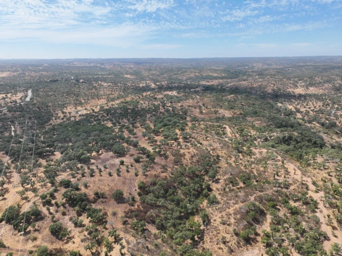 Quinta T3 para Venda em Abela Foto 57