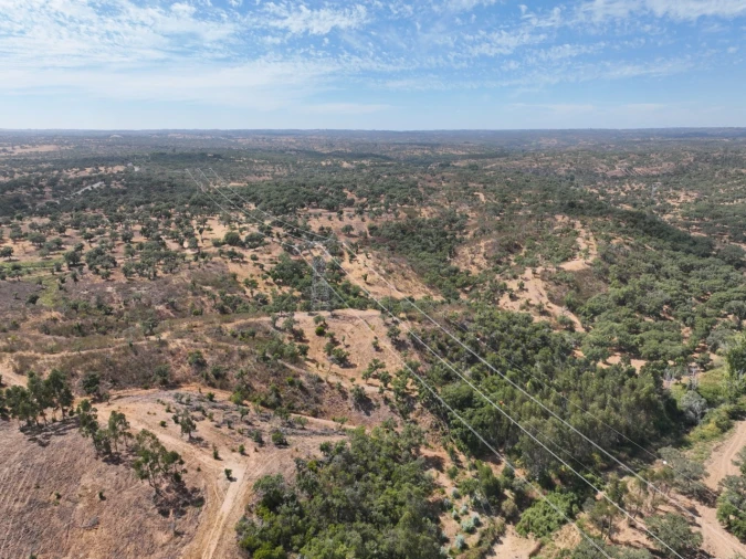 Quinta T3 para Venda em Abela Foto 58