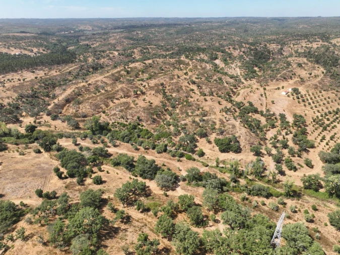 Quinta T3 para Venda em Abela Foto 64