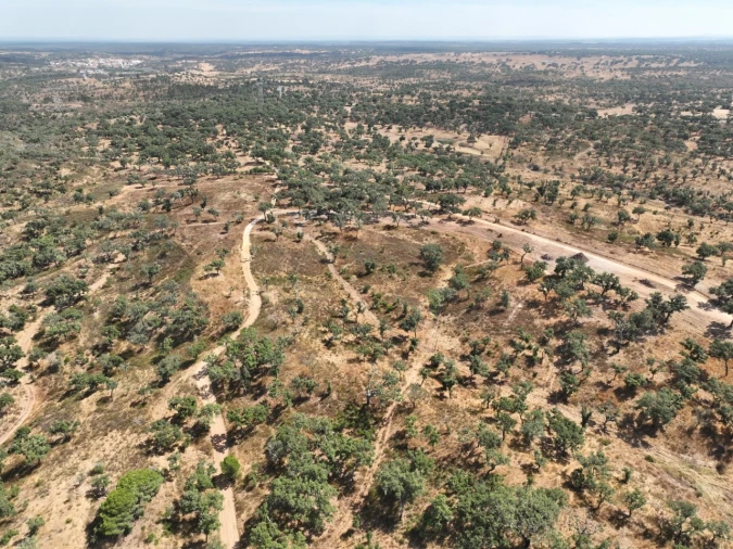 Quinta T3 para Venda em Abela Foto 67