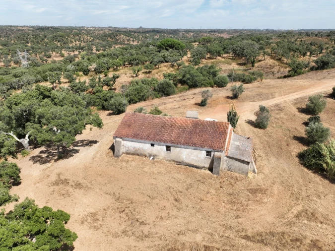 Quinta T3 para Venda em Abela Foto 69