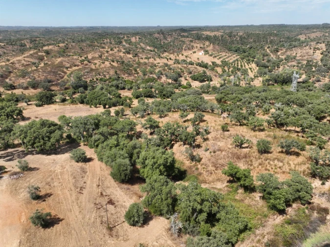 Quinta T3 para Venda em Abela Foto 74