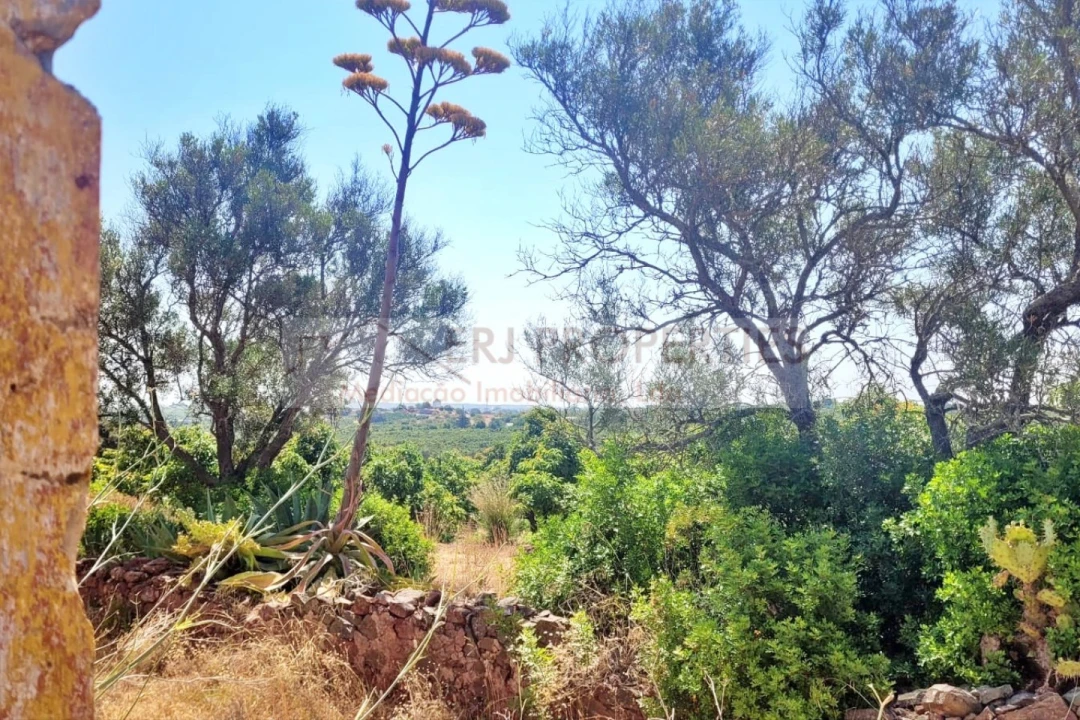 Terreno Misto para Venda em Vila Nova de Cacela Foto 2