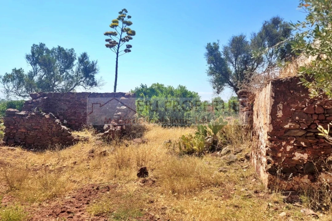 Terreno Misto para Venda em Vila Nova de Cacela Foto 5