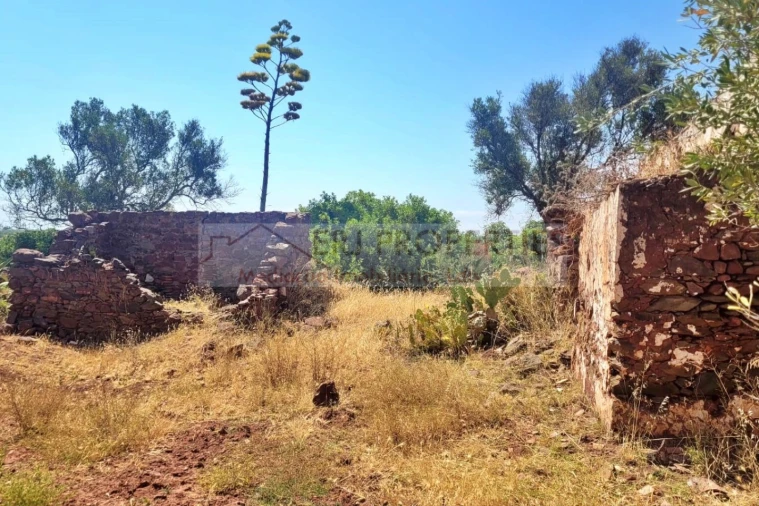 Terreno Misto para Venda em Vila Nova de Cacela Foto 5