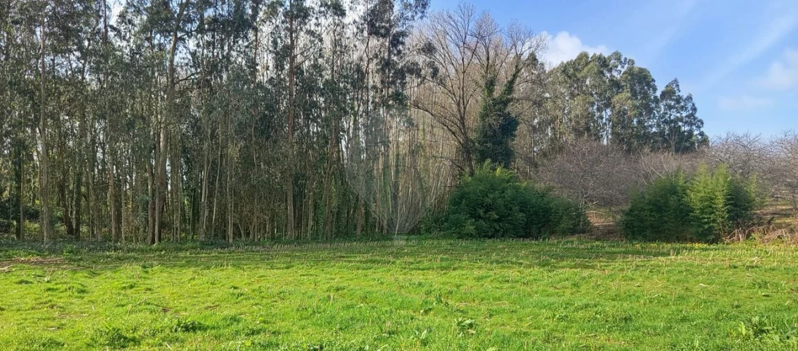 Terreno para Venda em Santa Maria da Feira, Travanca, Sanfins e Espargo Foto 6