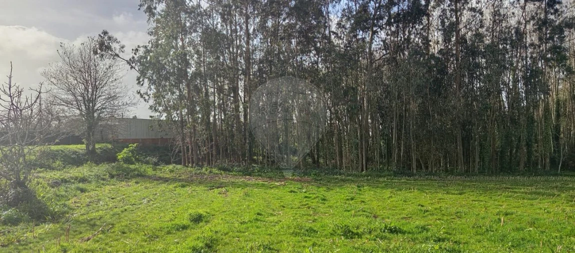 Terreno para Venda em Santa Maria da Feira, Travanca, Sanfins e Espargo Foto 4