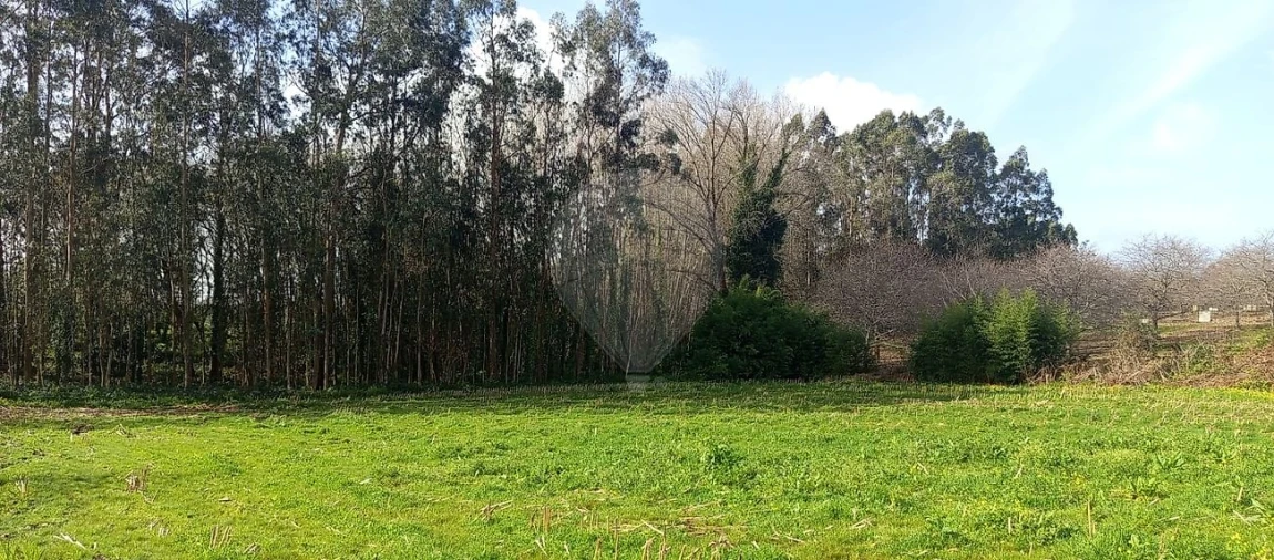 Terreno para Venda em Santa Maria da Feira, Travanca, Sanfins e Espargo Foto 5